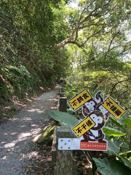 《陽明山秘境健行｜翠峰瀑布 × 天母古道 夏日涼爽路線》2852226