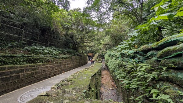 114.12.20劉銘傳隧道-獅球嶺北峰-獅球嶺東砲台山-獅球嶺池-獅球嶺砲台山之旅2966696