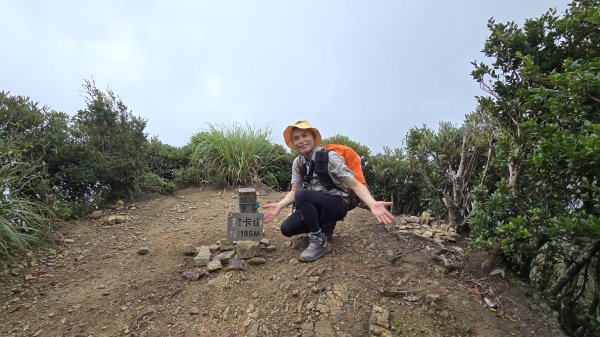 解鎖山頂鳥百山百鳥滿月園任務，滿月圓森林遊樂區是台北近郊瀑布最多的森林遊樂區，夏季首選，涼爽舒服2866672
