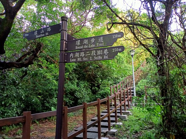 《山青水綠的碧湖公園登山、環湖步道》1435113