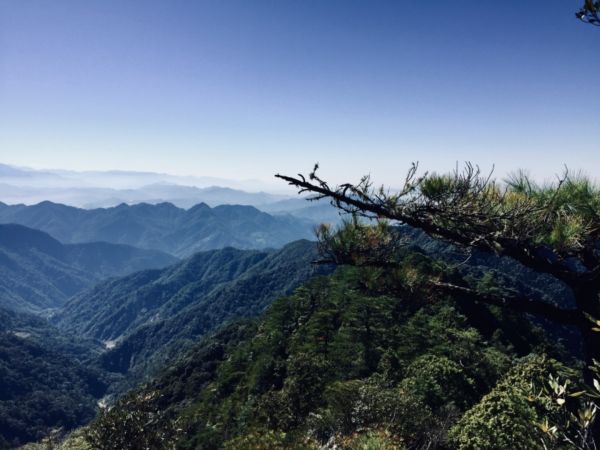 巨高就更要上鳶嘴山284115