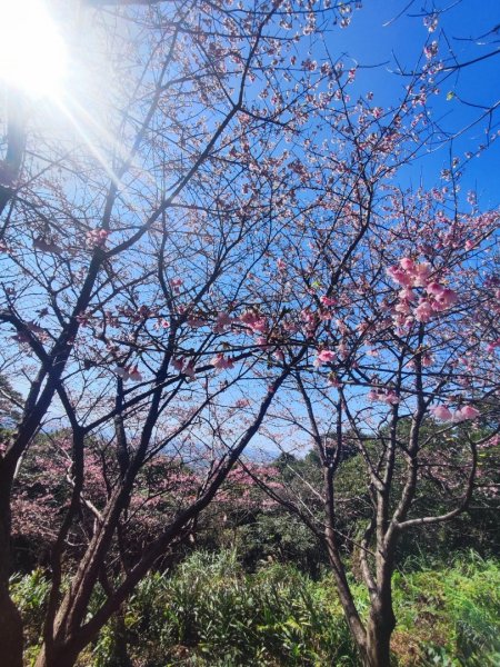 龜山福源山-牛灶坑山-鶯歌火車站走春遊2701315