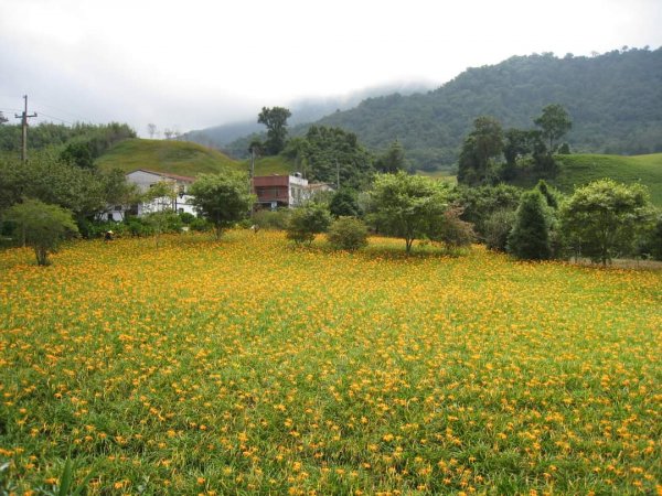 小百岳NO.92 花蓮萬人山。赤科山 六十石山，玉里神社遺址，奇萊鼻燈塔步道2250429