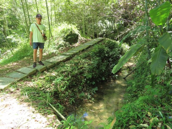 小半天孟宗竹林古戰場+長源圳生態步道Ｏ形2877865