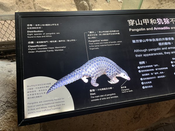 [2024動物園探險隊] 2024_0908_臺北市立動物園(祖父母節)2590233