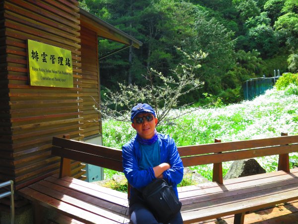 攀上台灣之巔，賞高山花海及島嶼天光1011574