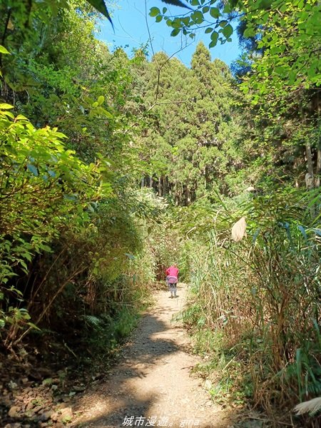 【新竹。五峰】  悠遊山林。 小百岳集起來。 編號31小百岳~鵝公髻山步道x山上人家1652459