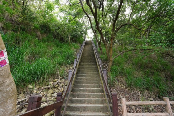 臺中 龍井 竹坑山2767052