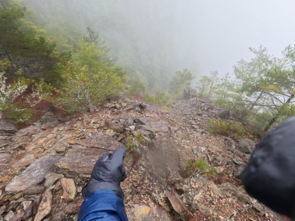 寒流凍雨中獨攀東埔上郡大山下開高山 追雪失敗 2022.2.19-2022.2.201617072