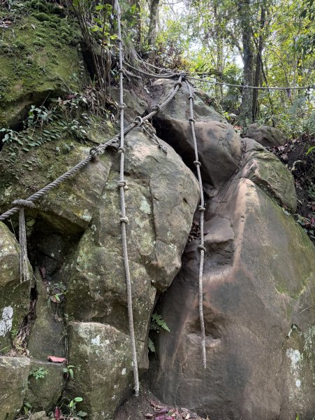 [微笑山線_第八段] 2026_0411 二格山系_筆架山北峰3035126