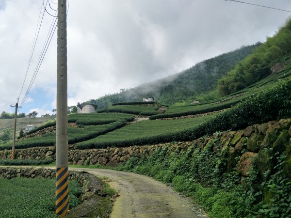 嘉義百大步道：桃荀古道與大尖山1414746