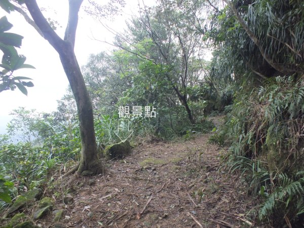 百二階古道+苕谷瀑布+逸仙山+泰和樓2734466