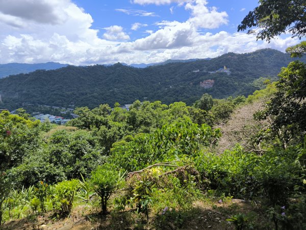 20240923微笑山線：【天上山系】烘爐地土地公段2892450