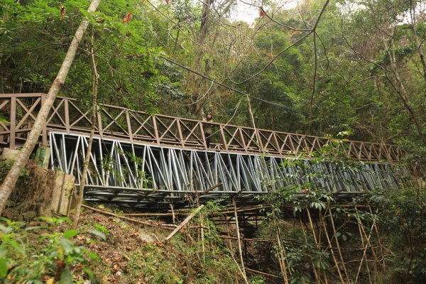 2023_0124 關山越嶺道-霧鹿天龍段 (天龍古道)2278582