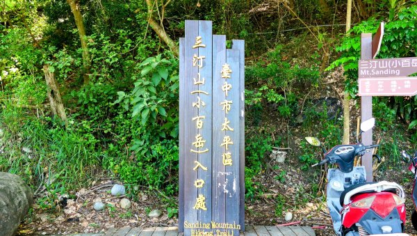 三汀山,苗圃,蝙蝠洞2787344