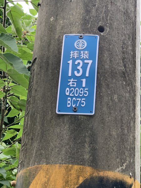 20250906台南蚵殼坑山-九層嶺-三十六崙山-洋子寮山2881500