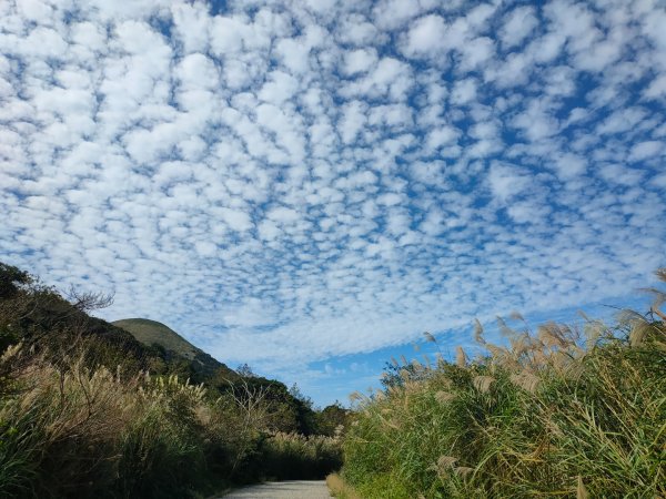 ［面天山］［向天山］［二子坪］的美麗雲彩2349133