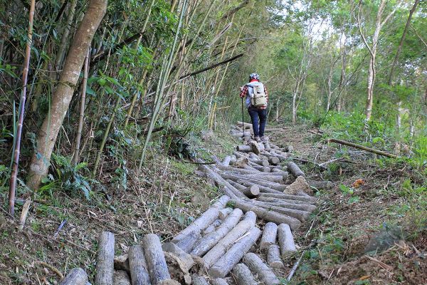 復興枕頭山古砲台步道O型279152