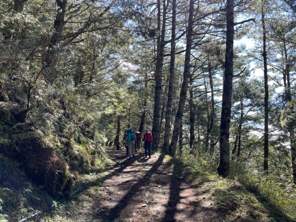 向陽日出，嘉明湖光2865068