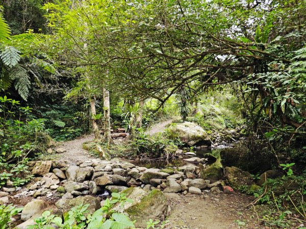 馬胎古道、馬胎二期古道、南坪古道2986011