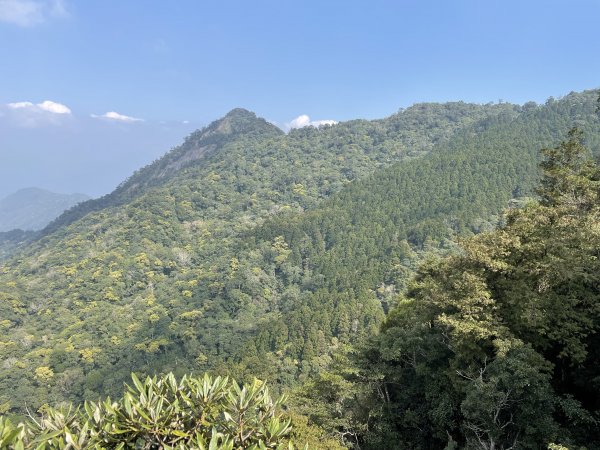 2020/03/12 那結山＆貴妃山 O形縱走1650332