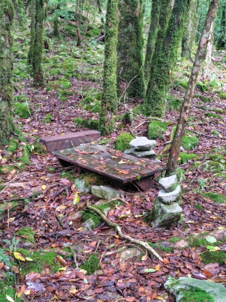 稍來小雪山國家步道、船型山、鞍馬山、鞍馬山東北峰、天池、雪山神木2799859