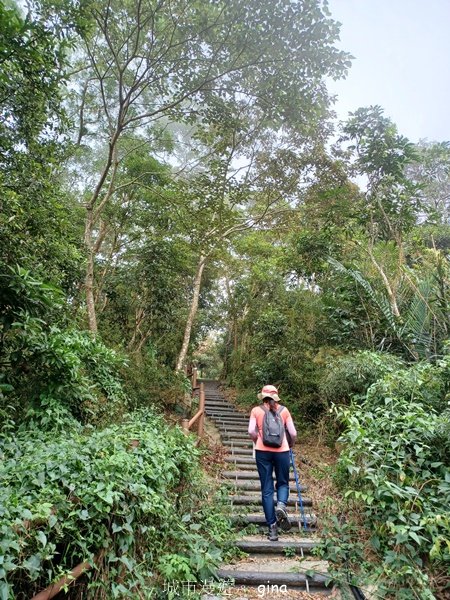 【嘉義竹崎】說好的稜線風景呢。阿拔泉山稜線步道連走獨立山O繞2684139