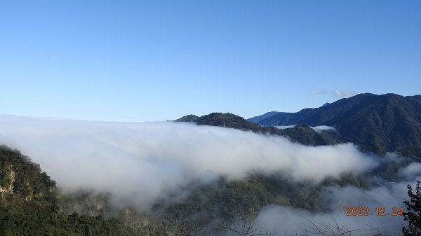 馬那邦山/細道邦道雲海&觀音圈 #黑雞  #花嘴鴨 12/242385585