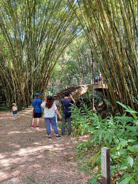 【南投魚池】澀水森林步道2933045