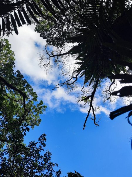 三貂嶺瀑布百大任務解鎖2957929