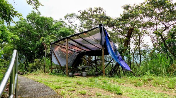 南港四小山。韓美磋2766483