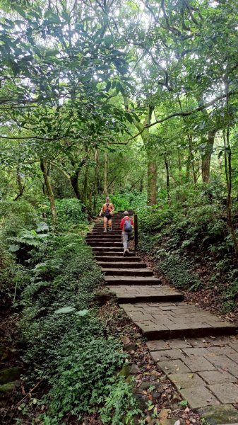 20250803_三進七星山(我的第四刷)2850692