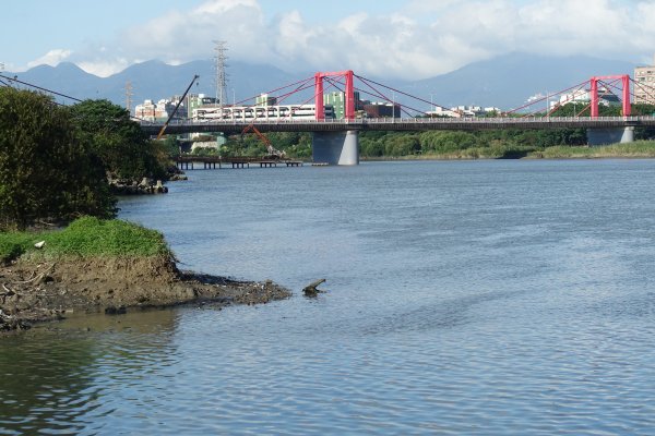 恐龍園區．江翠礫間水岸公園1171222