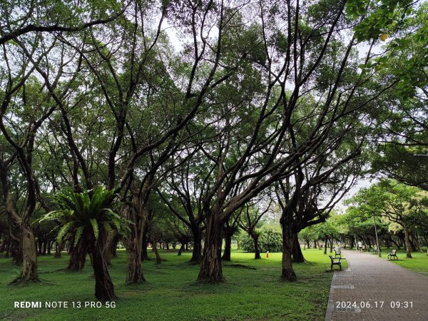 大安森林公園【走路趣尋寶，全臺齊步走】2529440