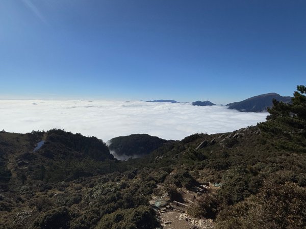 20250104-05 向陽縱走魔保來溪頭山出關山嶺山2683508