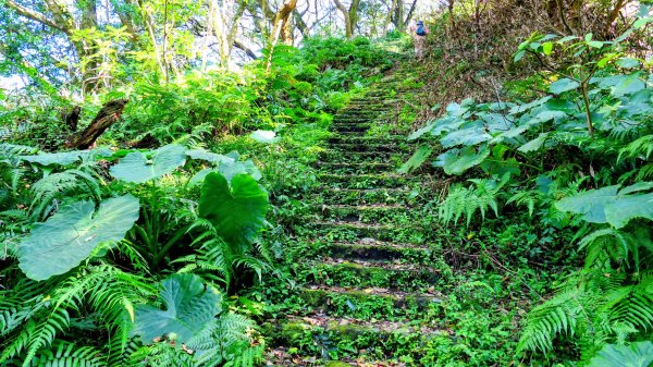 經營時間的早餐店2993556