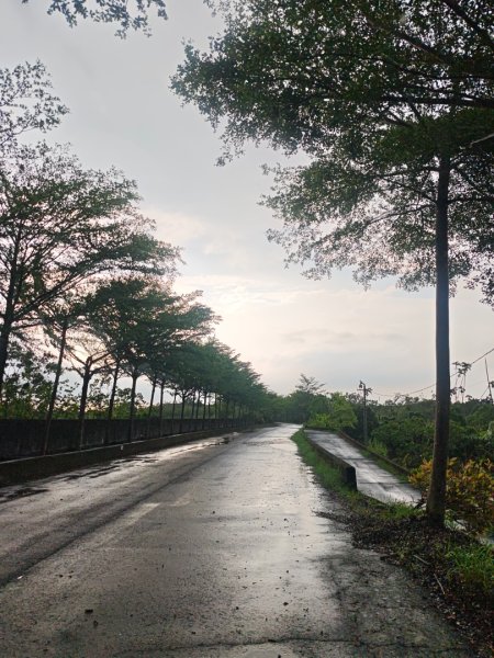 白河店仔口景觀公園2877452