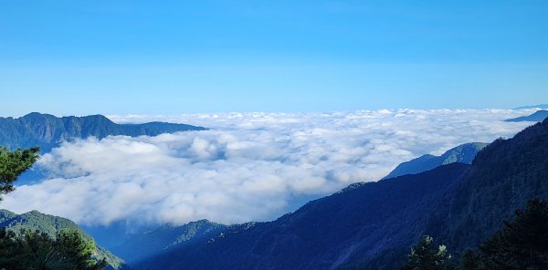 颱風海警沒收玉山之行，無妨邂逅雲海美景之喜2307312