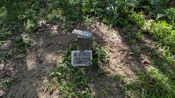 114.06.28內平林山-番子坑山-平湖森林遊樂區之O型2824273