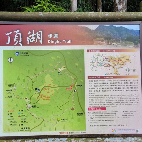 阿里山頂湖步道＞大凍山＞頂湖自然生態區2505497