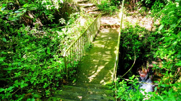 經營時間的早餐店2993566