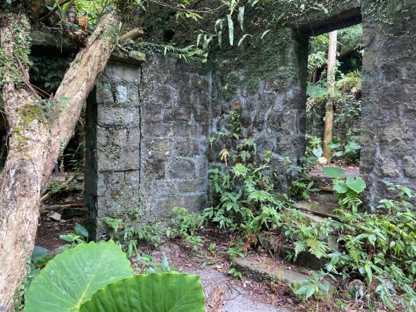 2025/09/07 大屯溪古道2926725