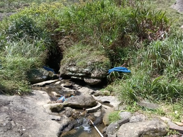 瑞芳區海園古道+鼻頭山稜+門牙岩O型2768350