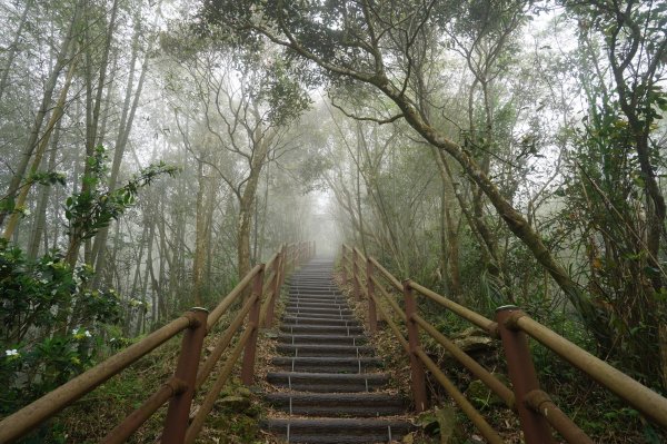 嘉義 梅山 太平山、梨子腳山、馬鞍山、二尖山、大尖山、碧湖山2748980