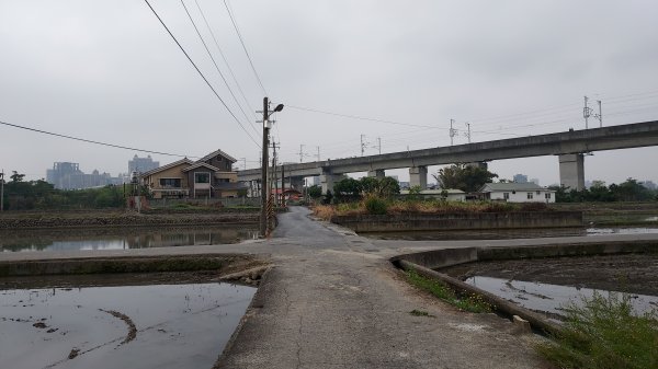 2022.03.05犁頭山_吧哩嘓山_石頭坑山（九顆基石）1696268