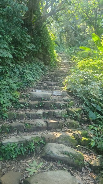 2026-0114溪州山小百岳2984876