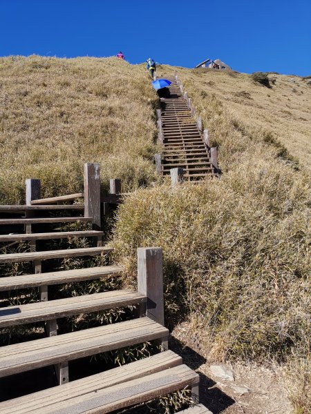 合歡山東峰1297552