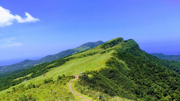 20190714桃源谷步道655097