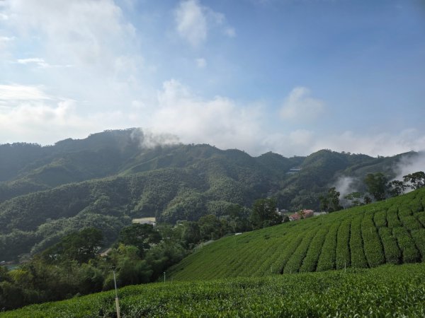 雲嘉六連峰（小百岳）2927995