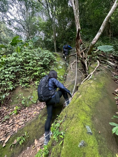 新竹石牛山步道｜小百岳2756521